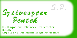 szilveszter pentek business card